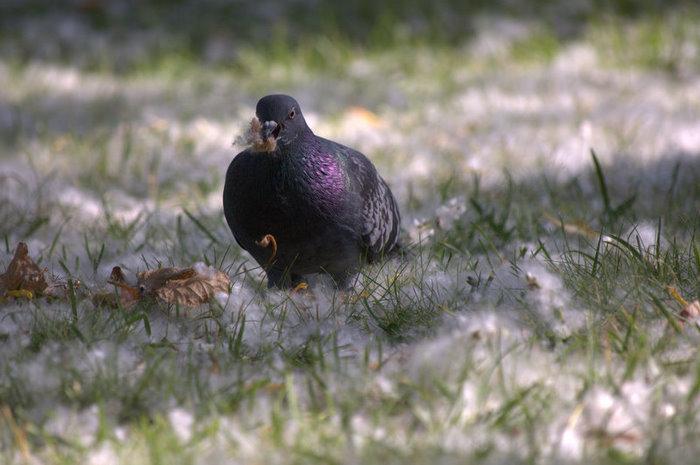 DSC_0626.jpg